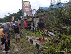 Hujan Lebat Disertai Angin Kencang Akibatkan Pohon Tumbang